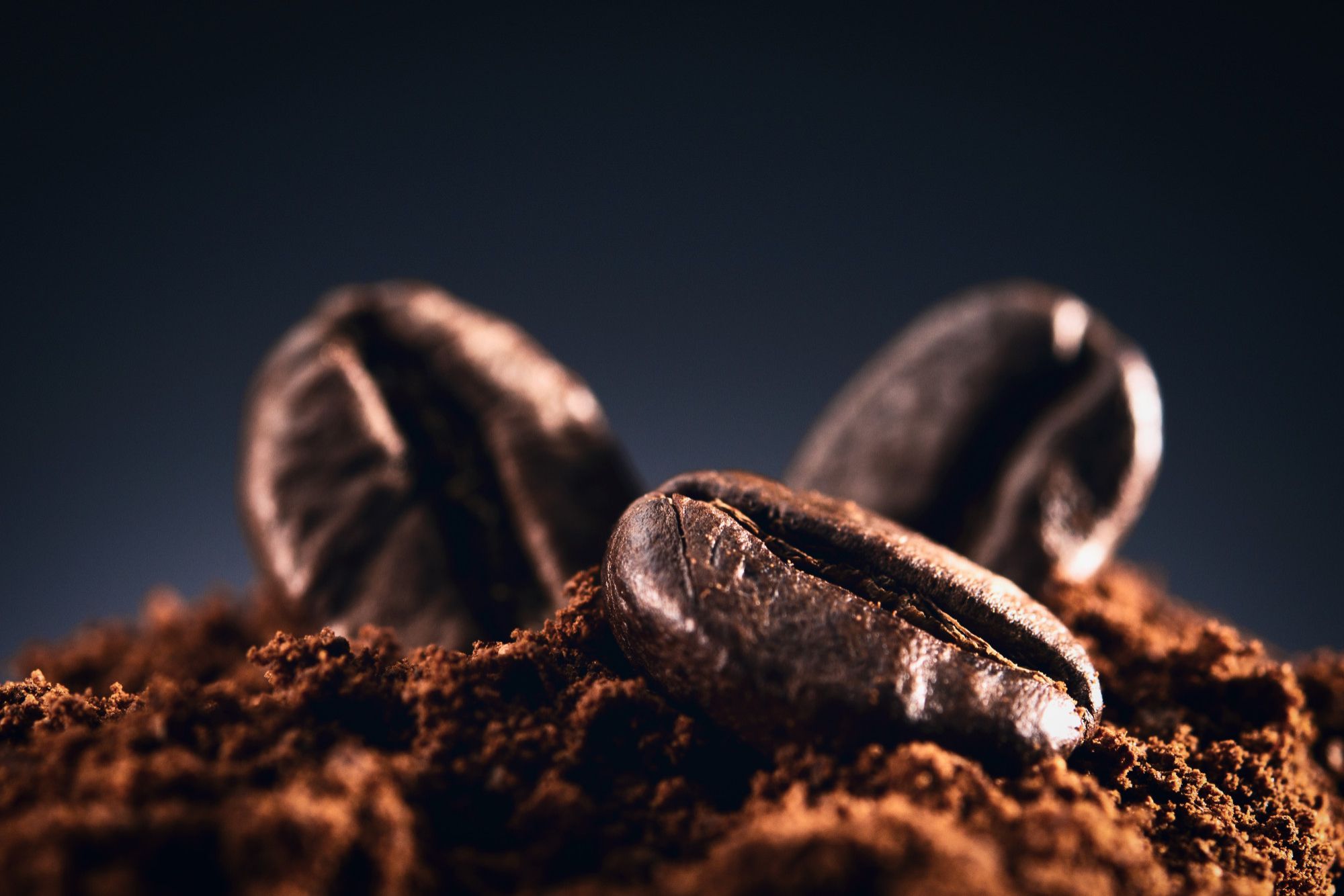 View of 7 Best Coffee Beans For Cappuccino in 2025