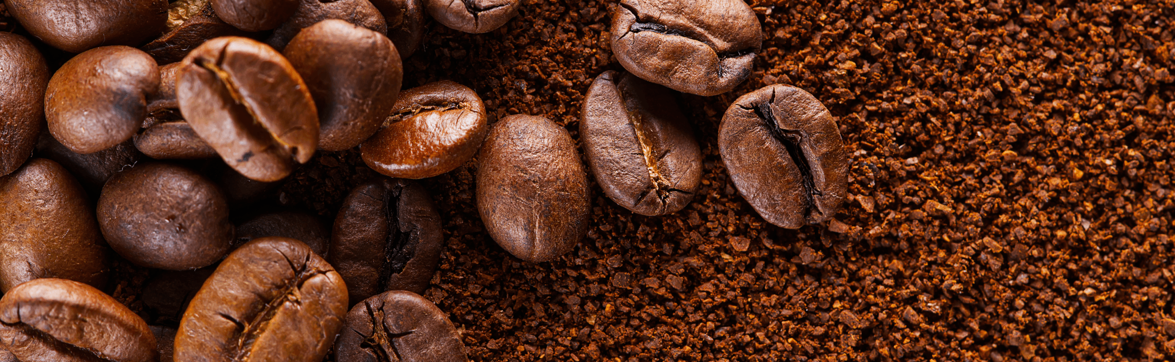 5 Best Coarsely Ground Coffee for French press (2024)